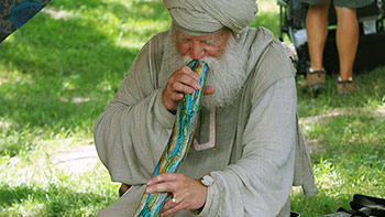 Mustafa Ali - Ren in the Glen